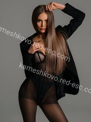 Дина — Красный Сулин